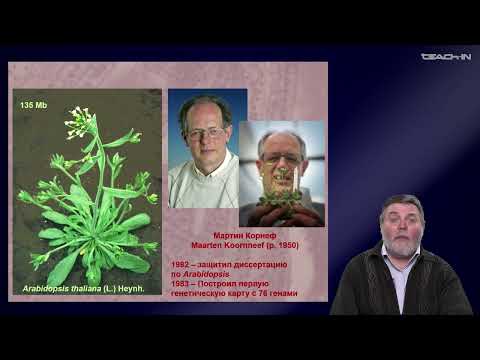 Чуб В.В. - Молекулярная генетика развития растений - 1. Модельные объекты и геномы