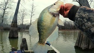 January Crappie fishing with Bobby Garland jigs, slip bobbers and a hand tied jig