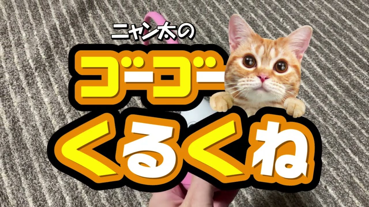 くるくるにゃん ゴーゴーくるくね - YouTube