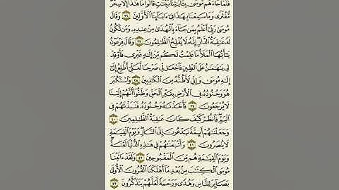 سورة القصص من الآية ٣٦ إلى الآية ٤٣بصوت القارئ ماهر المعيقلي