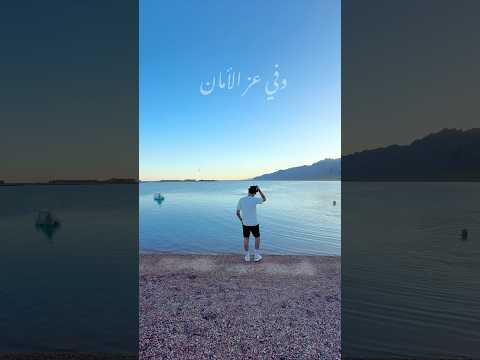 ضاع مني الأمان خالد الصيفي عبدالحليم حافظ زي الهوى حالات واتس زمن الفن الجميل