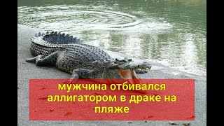 Отбивался аллигатором в драке на пляже