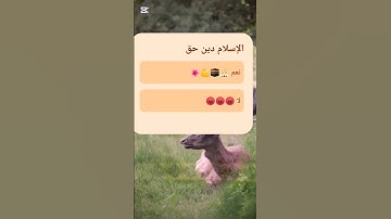#القرآن #الكريم بصوت #ياسر #الدوسري  #تلاوة #هادئة #تقشعر