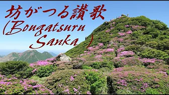 坊がつる讃歌（Bougatsuru Sanka）　ギターで唱歌＋歌（サキ:Saki）