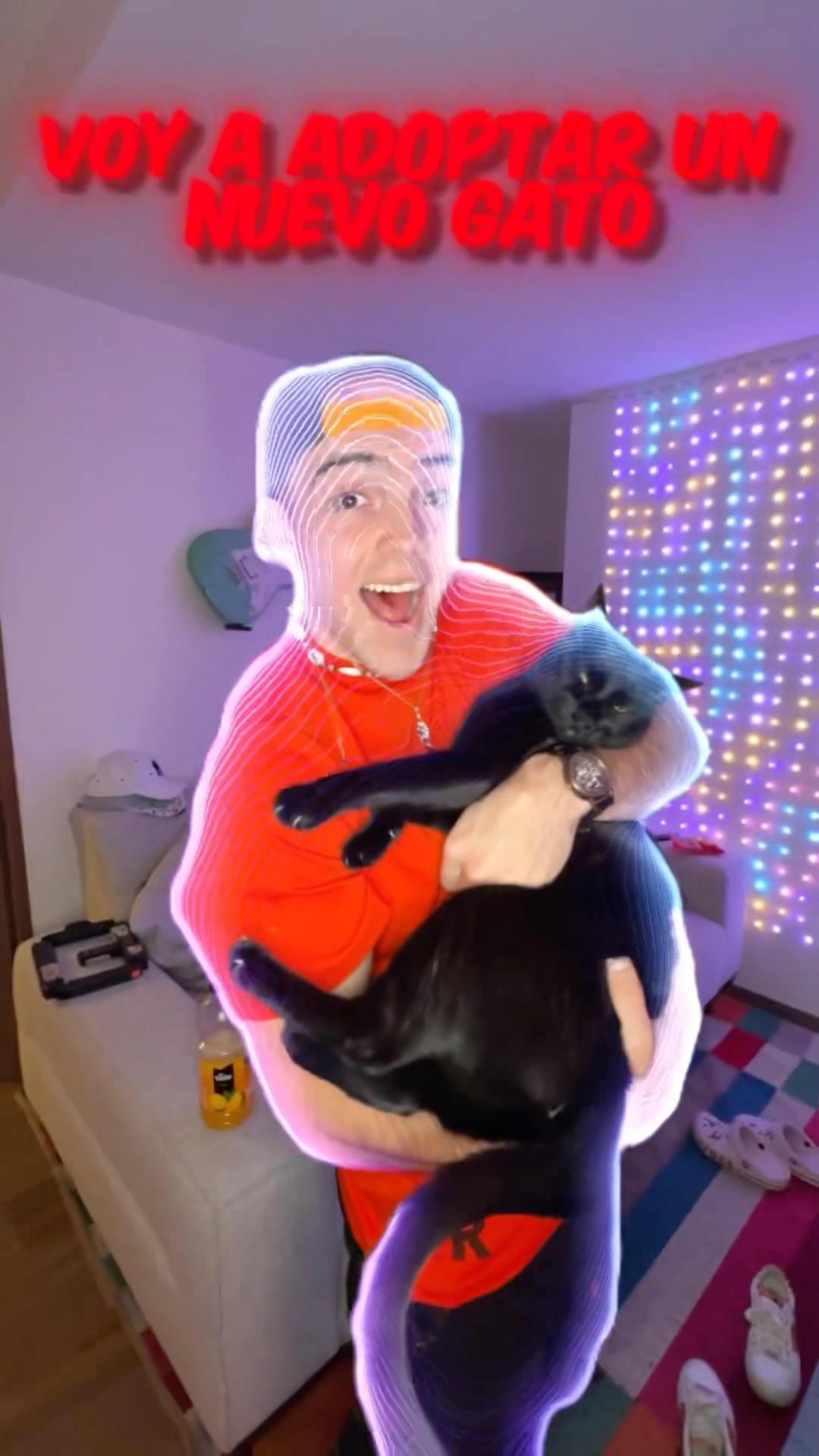 Adopté un NUEVO GATO ??