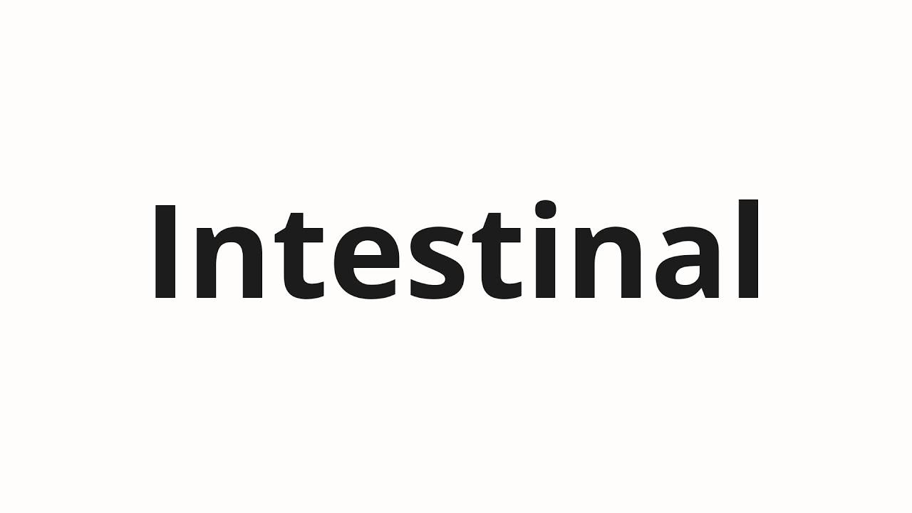 How to pronounce Intestinal YouTube