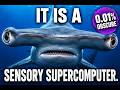 The Hammerhead's Head Isn't for Ramming—It's Way Worse #sharks #facts
