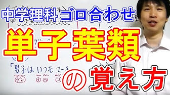 ゴロ合わせ Youtube