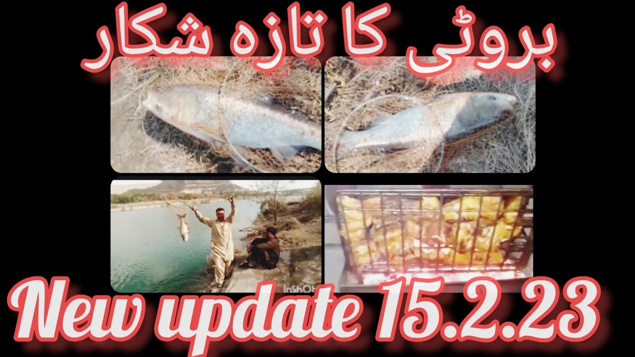carp fishing rod fishing mangla dam fishing line fishing