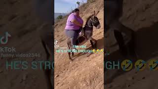 #fyp#funny videos#what was that#try not to laugh