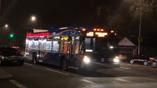 MTA NYCT EXCLUSIVE: 2018-2019 NovaBus LFS [#8516] Q43 @ Hillside Ave & 250th Street