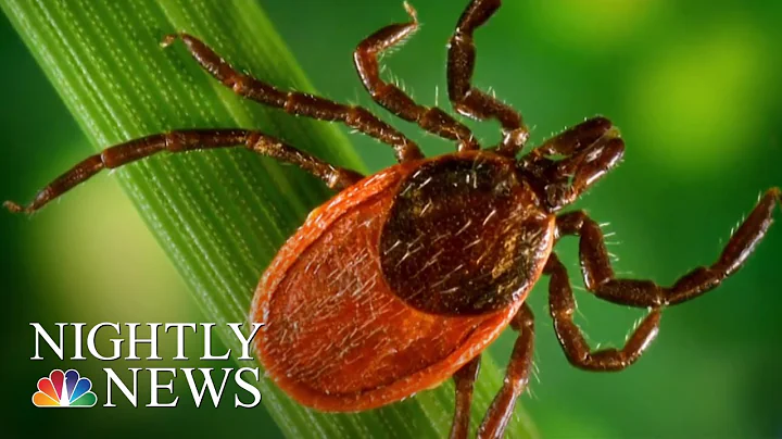 Lyme Disease-Carrying Ticks Spreading To New Areas, Scientists Warn | NBC Nightly News