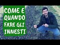 INNESTI: come e quando innestare le piante da frutto. Una PANORAMICA sui tipi di innesto.