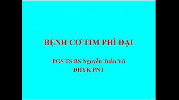 SA Tim | Bệnh Cơ Tim Phì Đại | 2025.05.27 | 170045