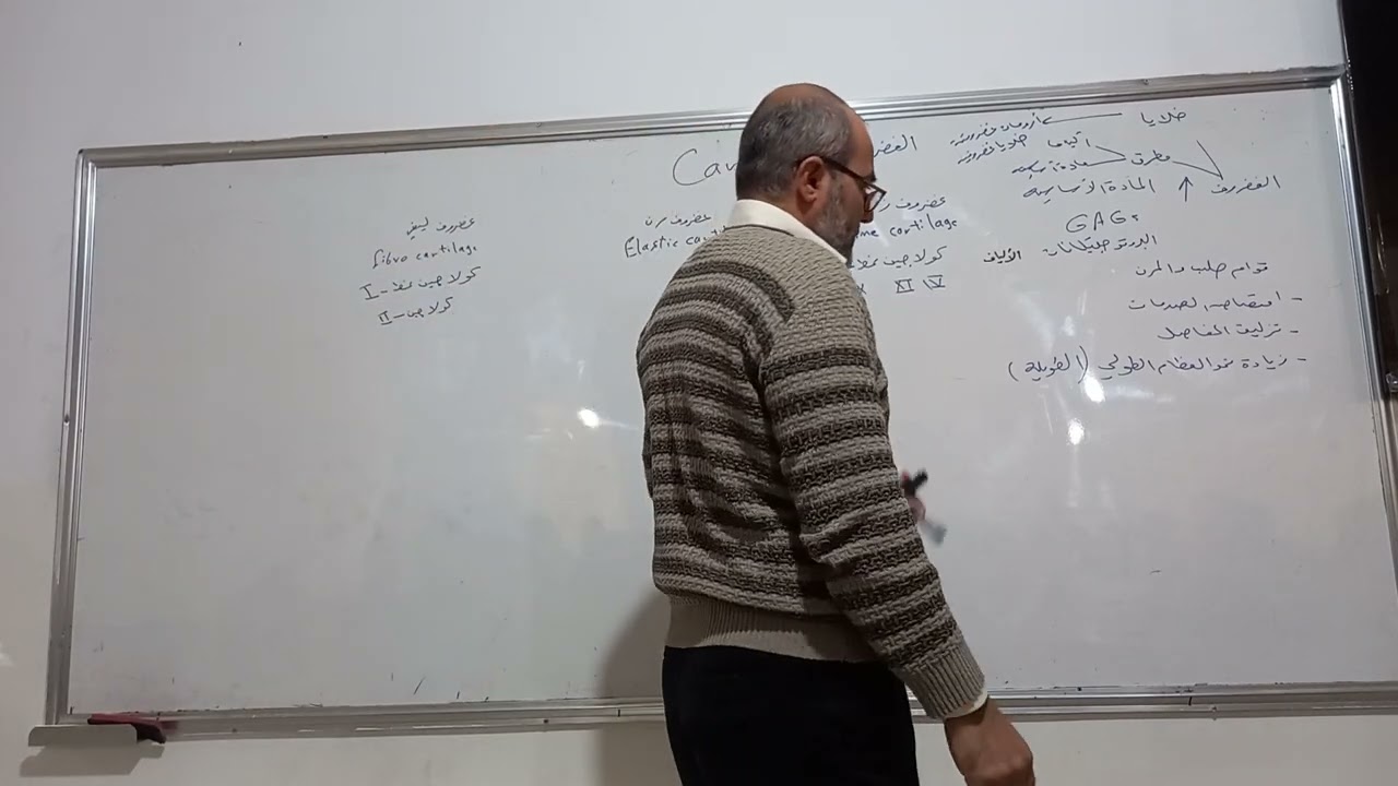 #الغضروف #cartilage