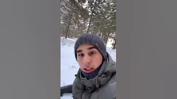 Птица знает около 30 команд