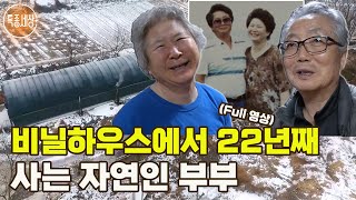 [특종세상] 비닐하우스에서 22년째 자연인의 삶을 살고 있는 부부의 사연 [Full영상]