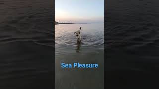 sea pleasure
