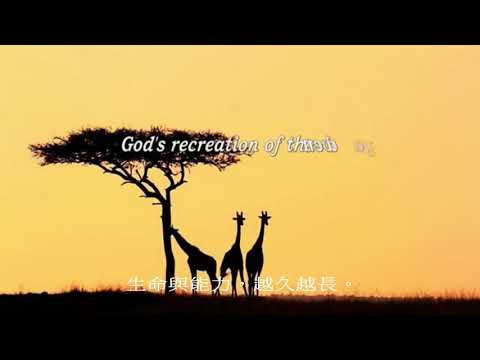 Morning Has Broken 晨曦破曉 ( 曲 : 蘇格蘭高地蓋爾人的民調 Gaelic Melody  , 詞 : Eleanor Farjeon ) ; 獻唱 Cat Stevens