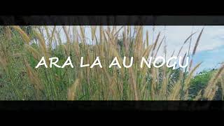 Ara La Au Nogu Gec Party Boys 2017