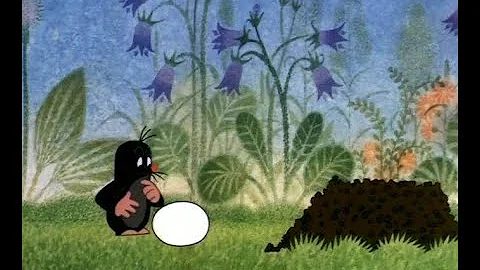 Proč jsou vejce užitečné pro oči?