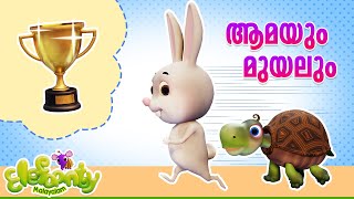 ആമയും മുയലും l Aamayum Muyalum -Tortoise \& Rabbit | Malayalam Animation video l Elefaanty Malayalam