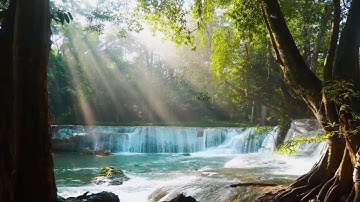 سورة النجم الشيخ شيرزاد طاهر/quran