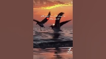 #تلاوه_مميزه #راحه_نفسيه