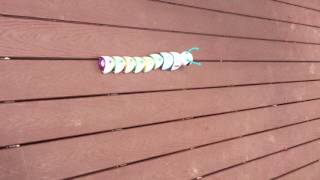 Famous The Codeapillar in Action!! Wealth