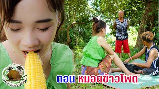 ตอน ຫມອຍຊ້າວສາລີ