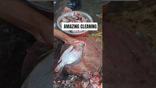 Tilapia Fish Cutting Master Skills in Market