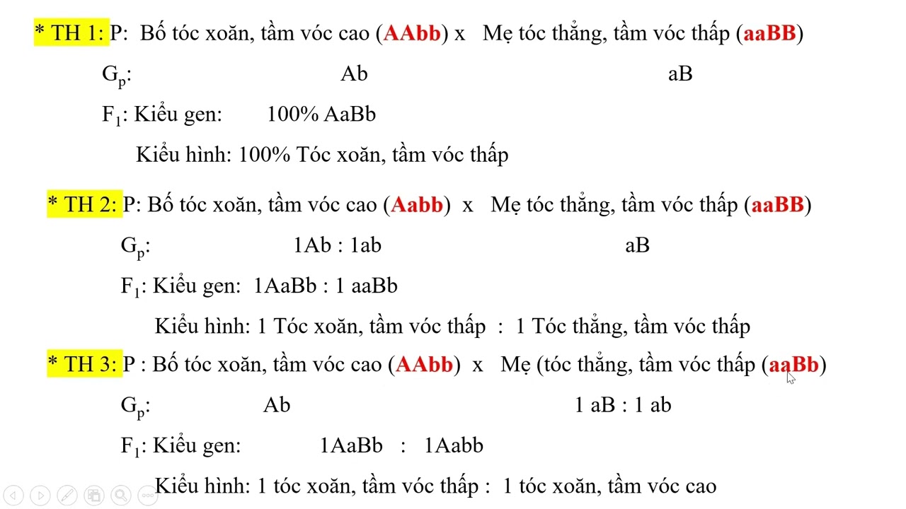 Hướng dẫn giải bài tập quy luật phân li độc lập của Menđen (phần 1)