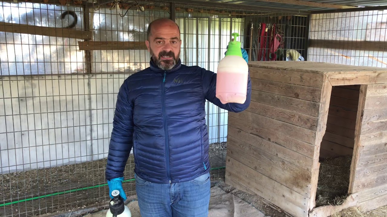 KÖPEĞİMİZİN YAŞAM ALANI NASIL DEZENFEKTE EDİLİR?