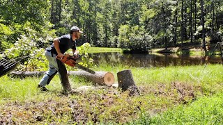 Dragging a Tree Out of a Lake (And Millin' It!)