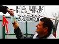 КАК ЖИТЬ? 3 ГОДА У ЖЕНЫ НА ШЕЕ!