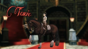 SSO Music Video~Toxic