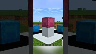shulker Box illusion #Shorts