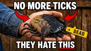 Why Amish Gardens Never Have Ticks — The One "Oil" Method Corporations Hate