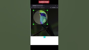 Image cropping tools created in Javascript #shorts #javascript #programming