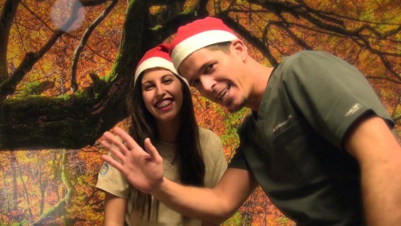 Q-Dental os desea Feliz Navidad