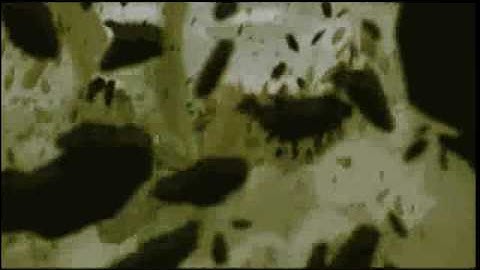 Code Geass - Riot MEP [My Part]