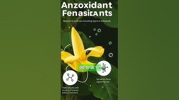 lợi ích  bất ngờ của bắp chuối đối với sức khỏe ? #suckhoetv #shorts #bắpchuối  #chamsocsuckhoe