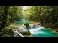 Calm Nature Escape 🐦 | Relaxing River and Forest Sounds for Focus and Meditation 3