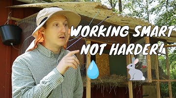 How To Set Up An Automatic Watering System For Rabbits! - DIY Automatic Watering System for Rabbits🐇