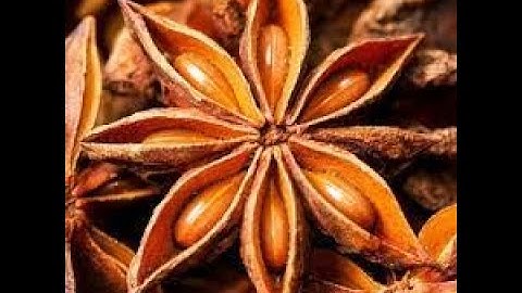 LECTURE 1 FRUIT Cogno ( introduction in fruit )