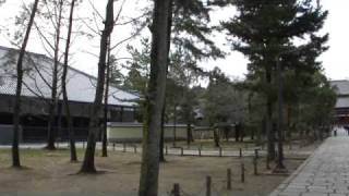 20110321奈良東大寺2