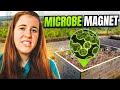 HOW TO INCREASE SOIL MICROBES? A SOIL SCIENTISTS VIEW ON SOIL BUGS | Gardening in Canada