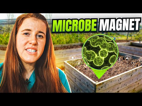 HOW TO INCREASE SOIL MICROBES? A SOIL SCIENTISTS VIEW ON SOIL BUGS | Gardening in Canada