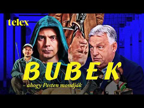 Kaprinyák elől menekítették ki a zebrákat Afrikából, hogy aztán Hatvanpusztán hagyják őket megfagyni