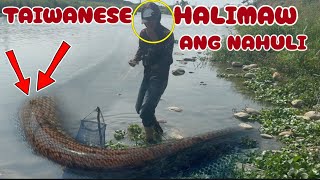 TAIWANESE NATARANTA AT HINDI MAKAPANIWALA SA KAKAIBANG NILALANG NA NAHULI NIYA?